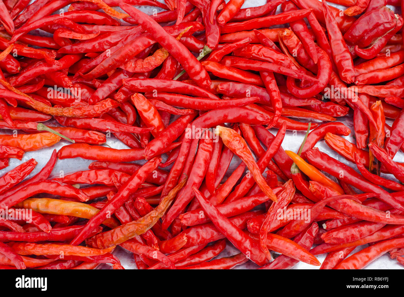 Red chili Hintergrund. Stockfoto