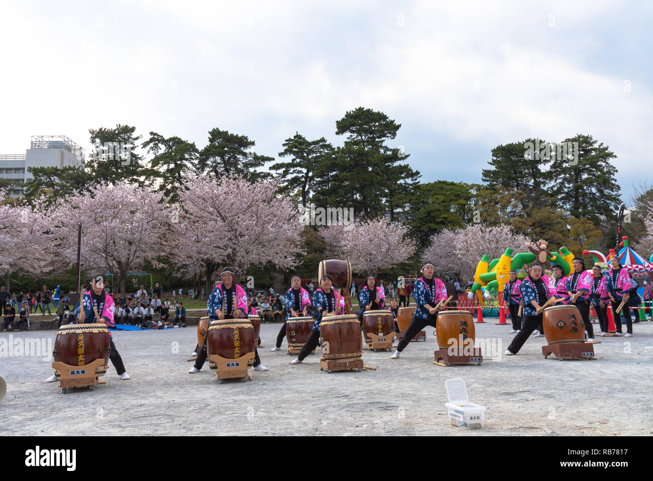 Shizuoka Festival (Shizuoka Matsuri) mit Kirschblüten, Shizuoka, Japan. Stockfoto