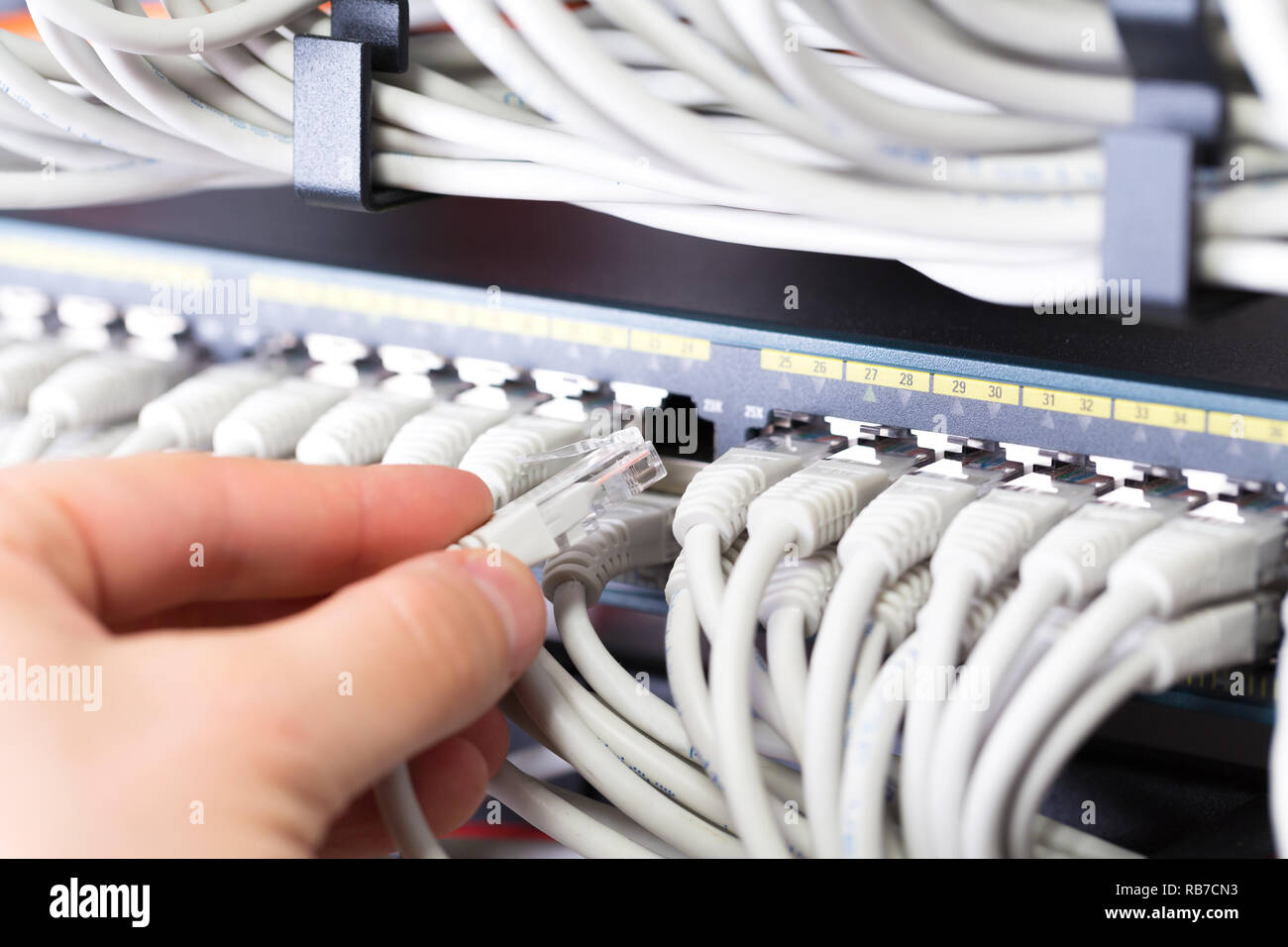 IT-Berater verbindet ein Netzwerkkabel in Switch im Rechenzentrum Stockfoto