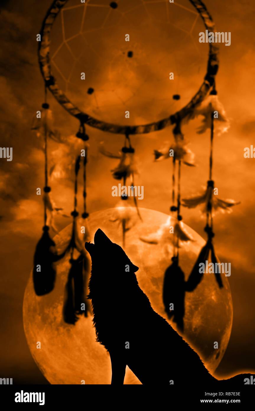 Einsamer Wolf auf den Mond mit einem dreamcatcher im Hintergrund heulen Stockfoto
