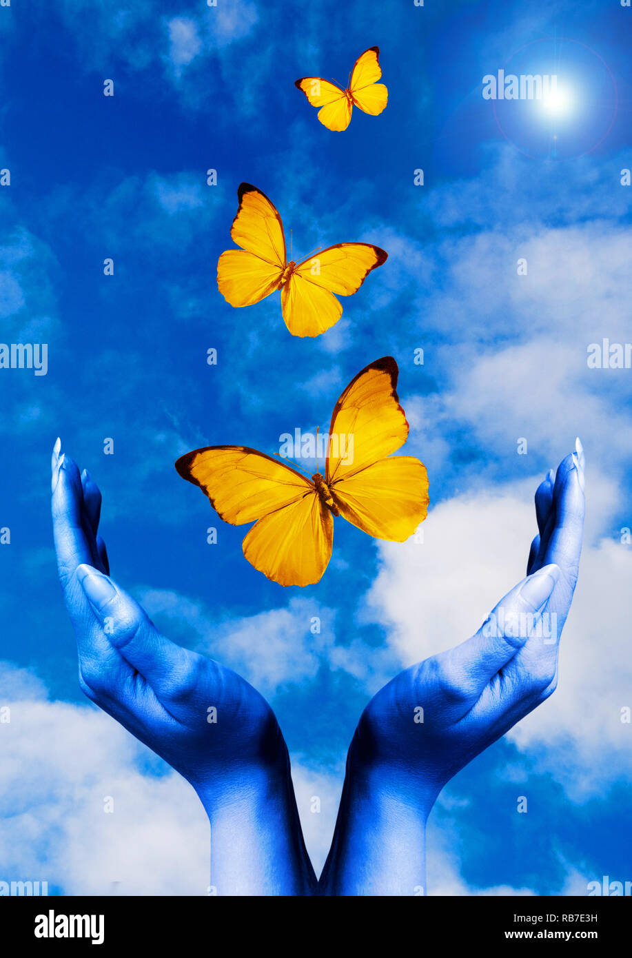 Open Hands mit Schmetterlingen weg fliegen in den blauen Himmel, Phantasie, Kreativität und Erneuerung Konzept Stockfoto