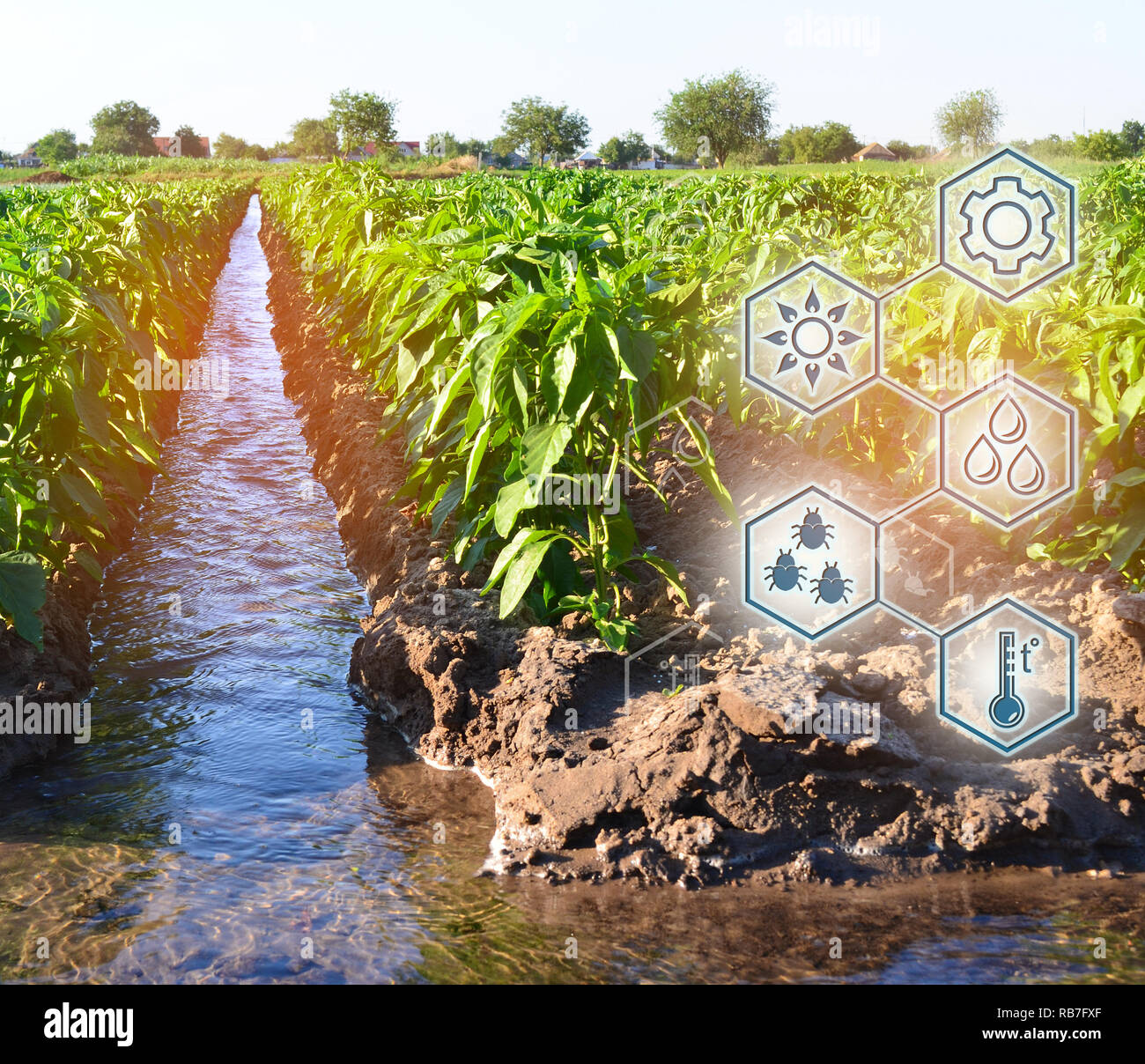 Natürliche Bewässerung der Landwirtschaft. Hohe Technologien und Innovationen in der Agroindustrie. Studie Qualität der Boden und Ernte. Wissenschaftliche Arbeit und Entwicklung o Stockfoto