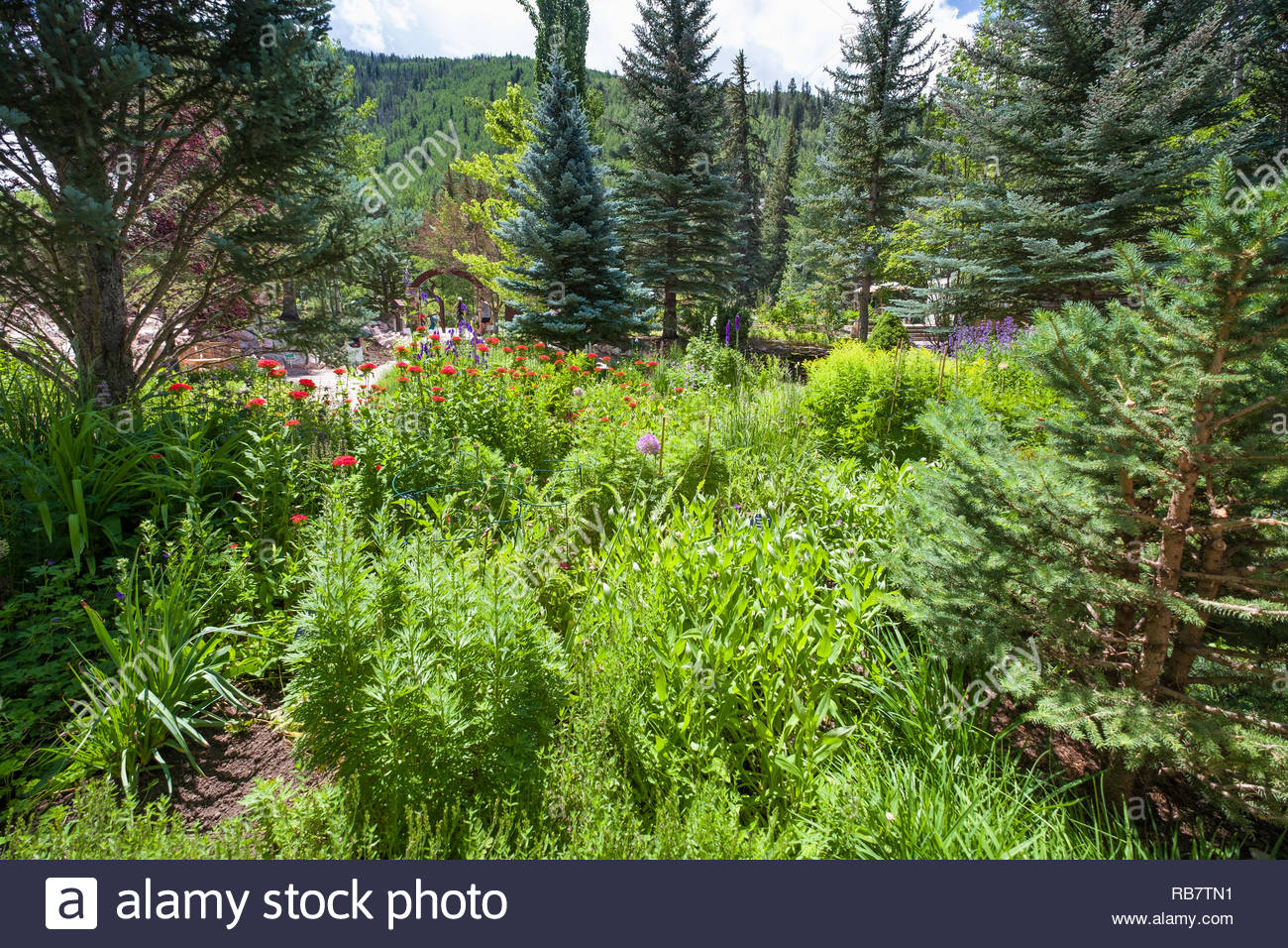 Betty Ford Alpine Gardens Vail Eagle County Colorado Usa