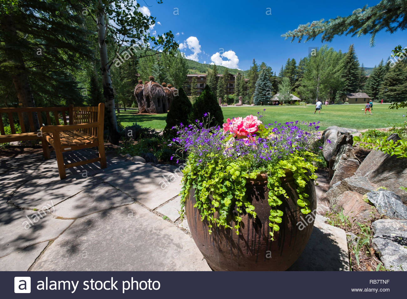 Bunte Blumen Und Pflanzen In Der Betty Ford Alpine Gardens Vail