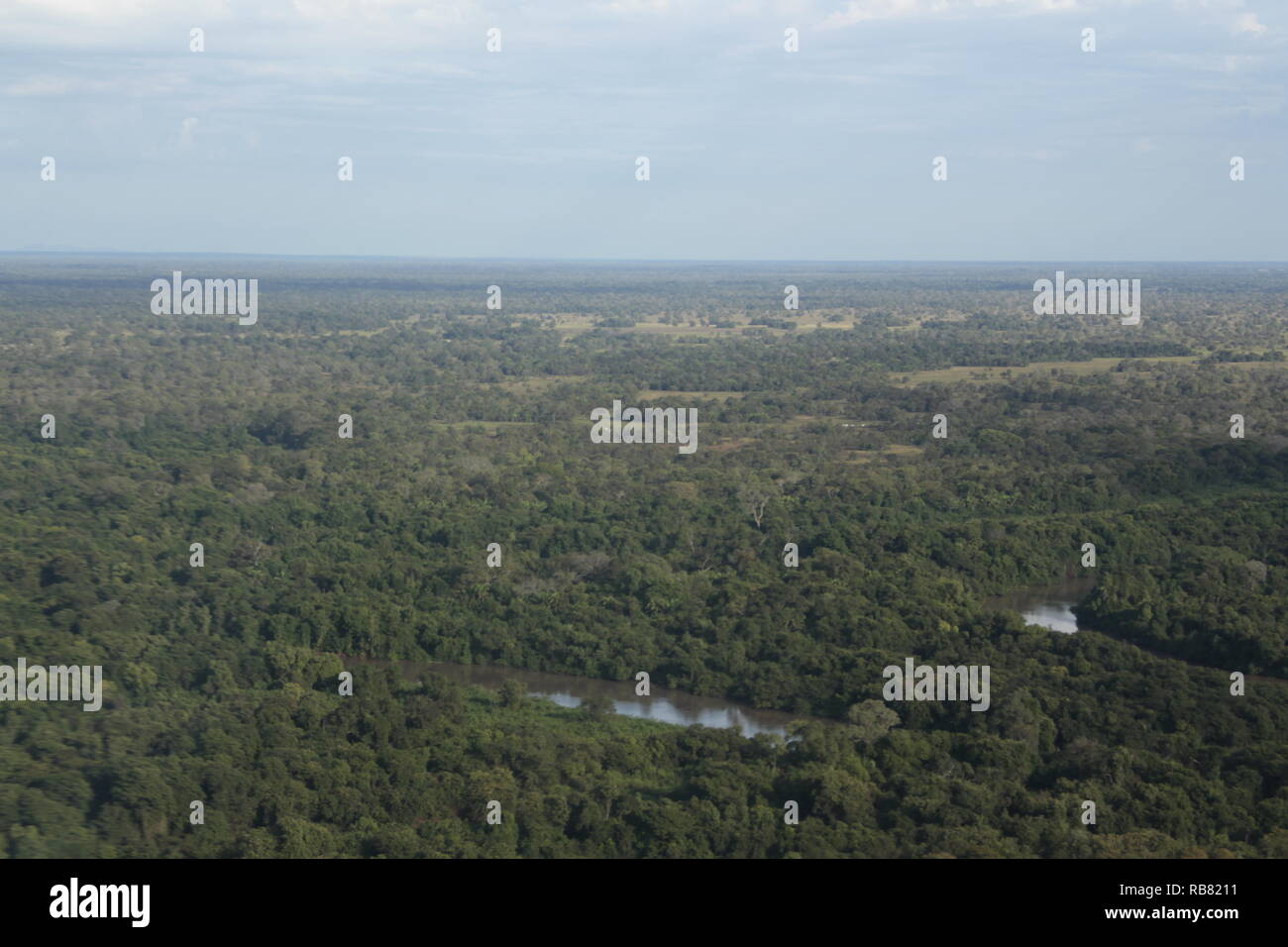 Erstaunlich Pantanal sehen von Flugzeug. Stockfoto
