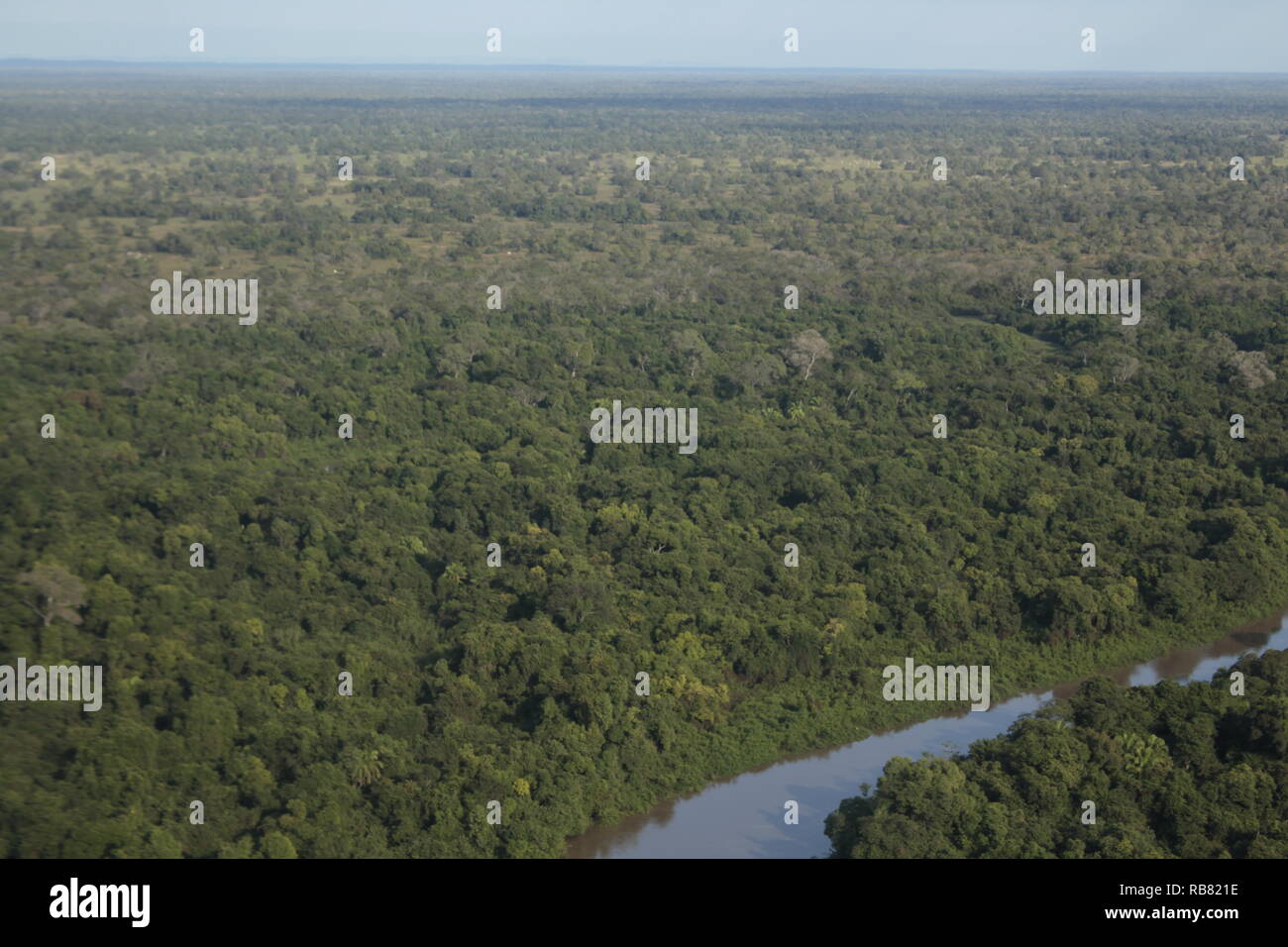 Erstaunlich Pantanal sehen von Flugzeug. Stockfoto
