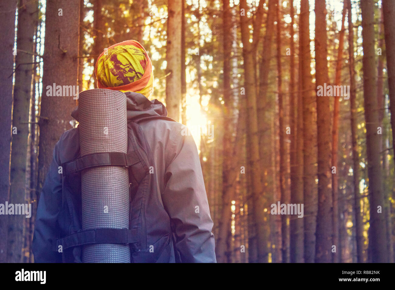 Mann mit Rucksack, stehenden Reisenden in den Wäldern. Getönt Stockfoto