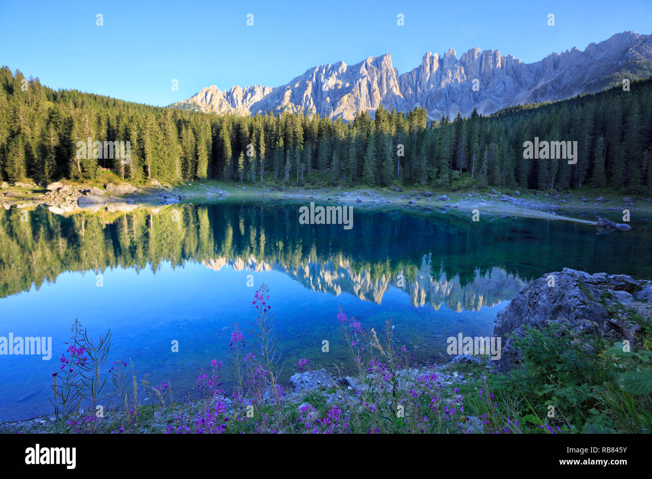 Die Gebirgskette Latemar spiegelt sich in der Karersee/Karersee/Lago di Carezza. Dolomiten Region der Alpen in Südtirol, Italien. Stockfoto