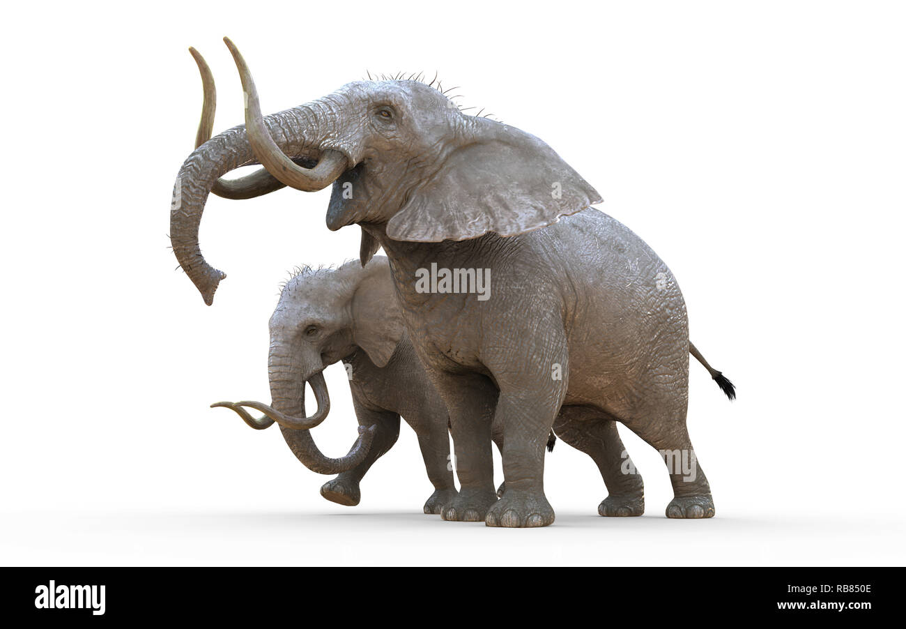 3D-Illustration Elefant Isolieren auf weißem Hintergrund mit Freistellungspfaden. Albino Elefant. Stockfoto