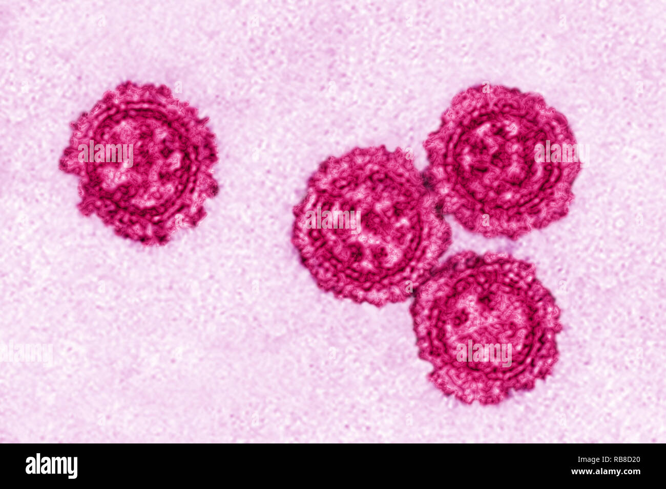 Influenza Virus Stockfoto