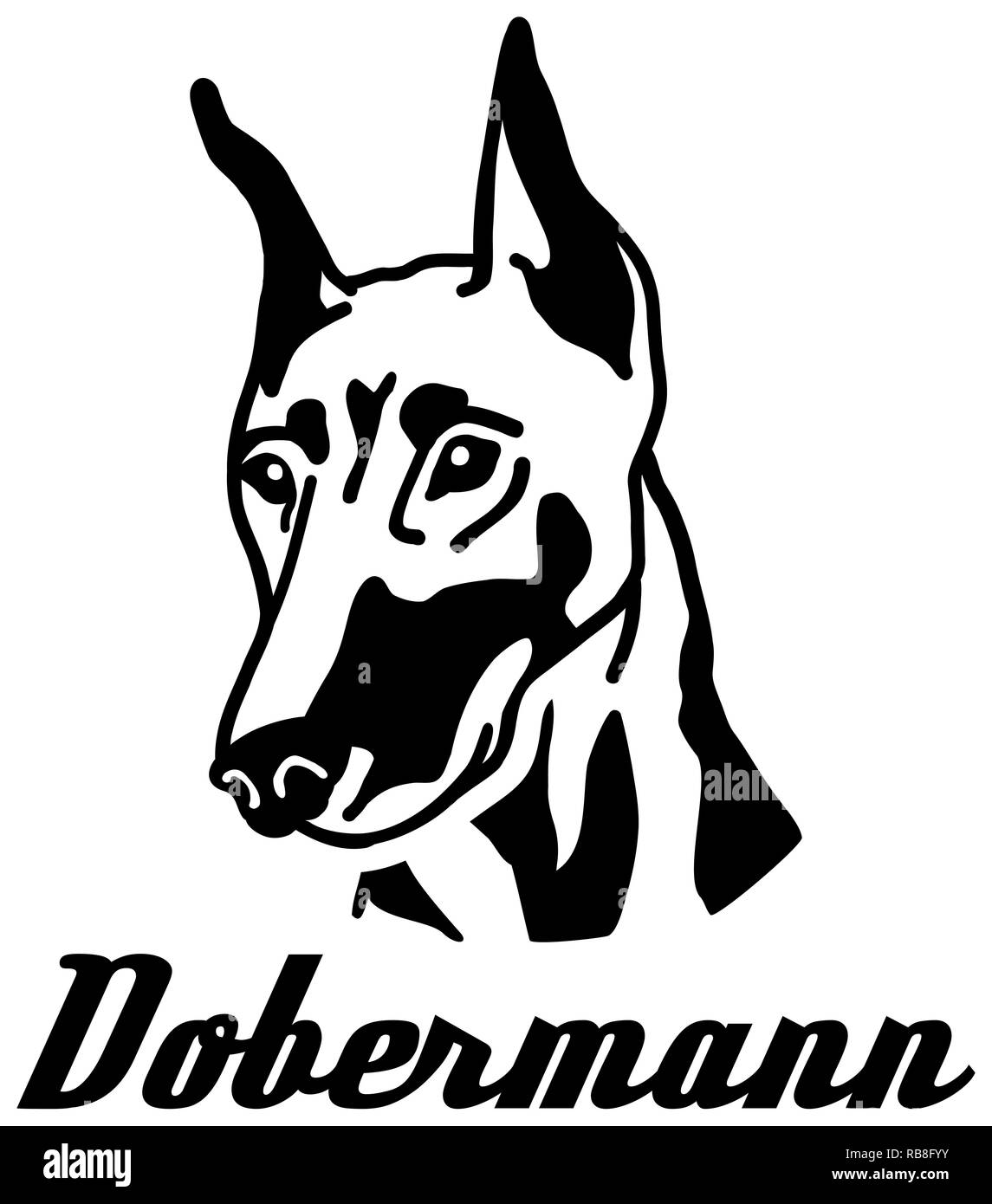 Dobermann Gesicht mit deutschen Wort Stockfoto