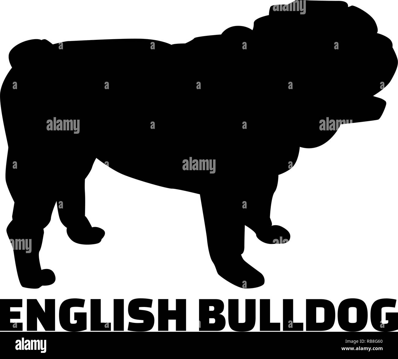 Englische Bulldogge Silhouette in Schwarz Stockfoto