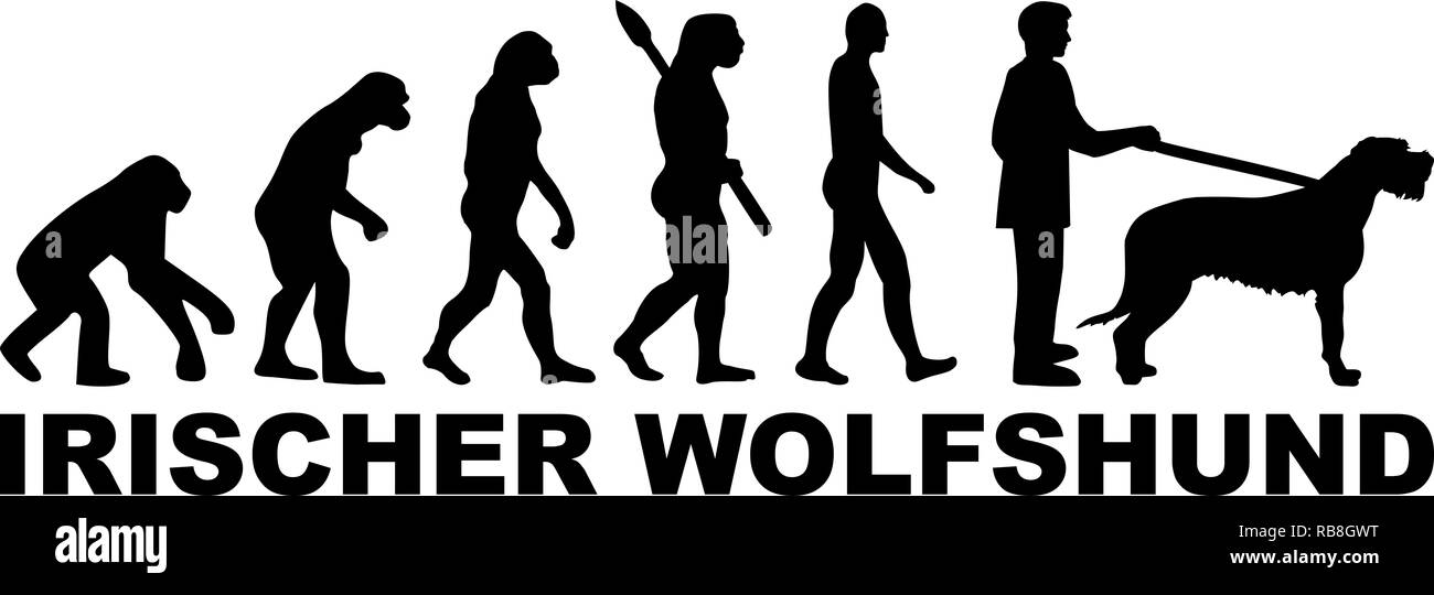 Irish Wolfhound evolution mit Word in Schwarz Deutsch Stockfoto
