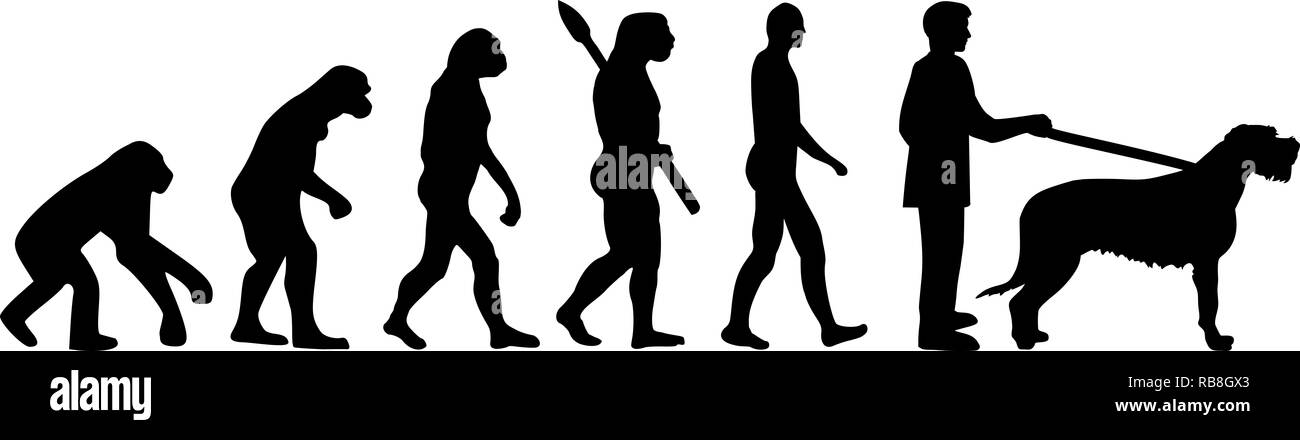 Irish Wolfhound evolution Entwicklung mit Silhouette Stockfoto