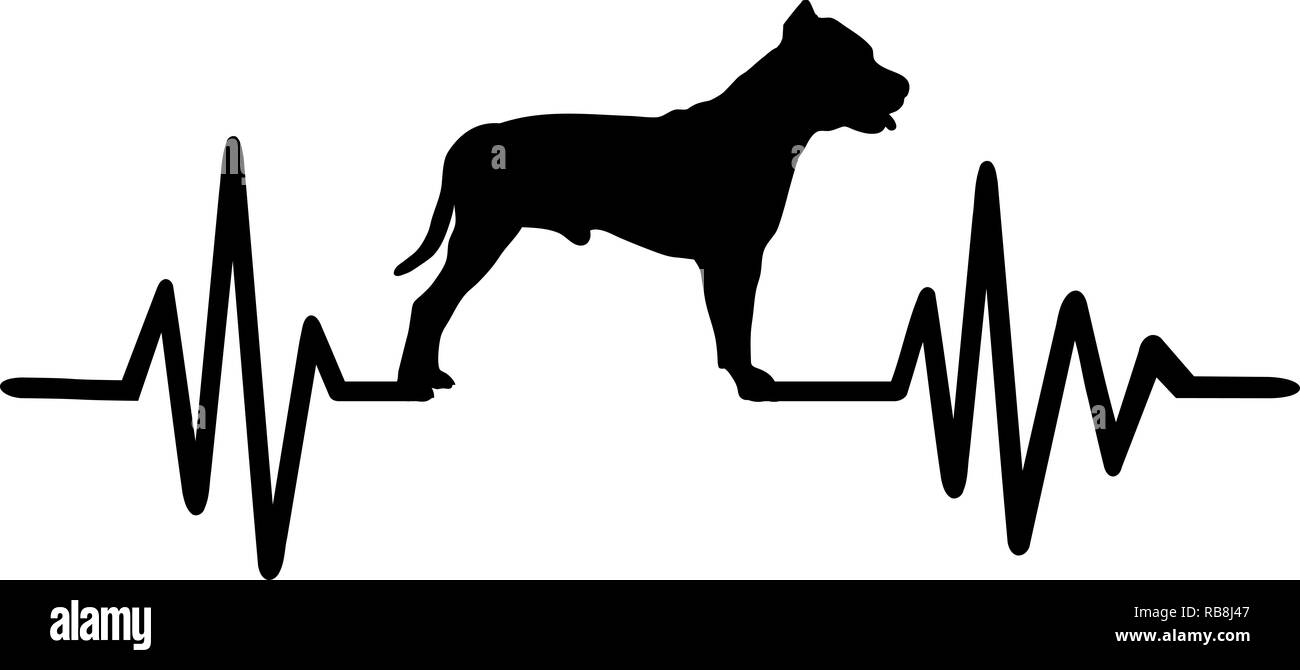 Heartbeat Frequenz mit Pit Bull Terrier Hund Silhouette Stockfoto