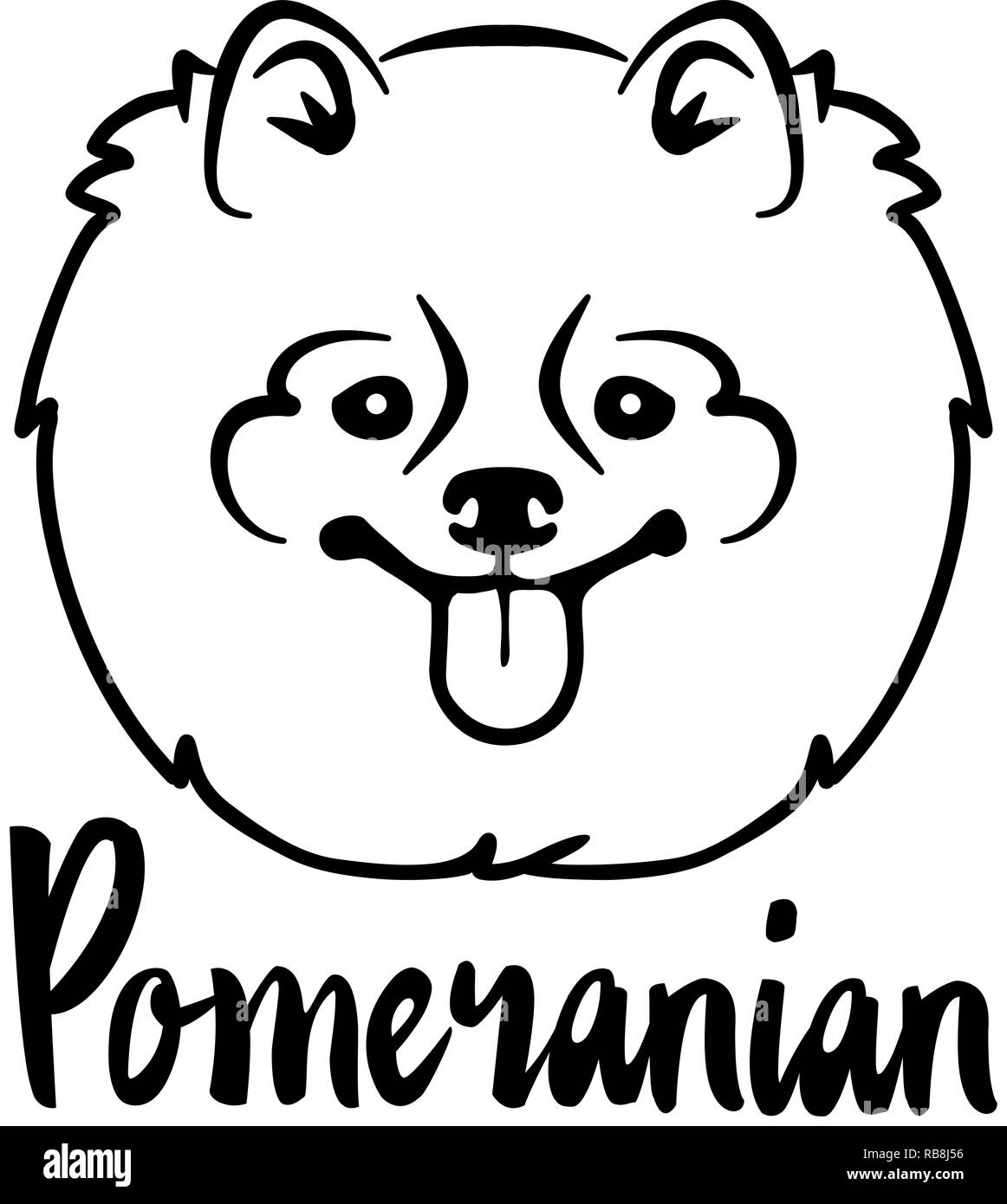 Pomeranian Kopf mit Namen schwarz weiß Stockfoto