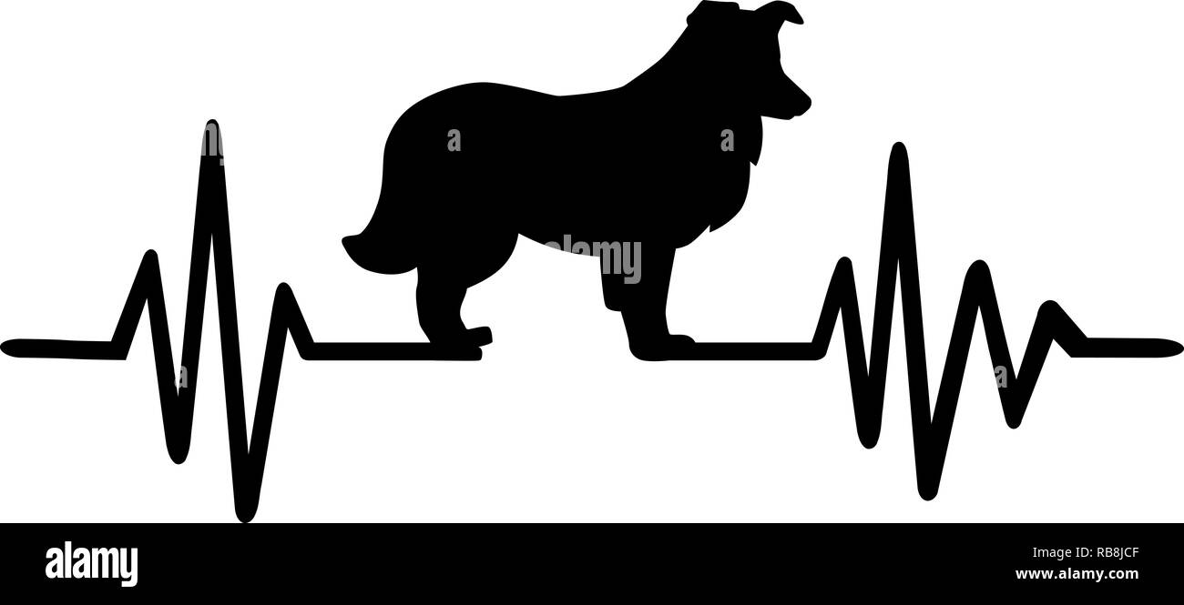 Heartbeat Puls mit Shetland Sheepdog Hund Silhouette Stockfoto