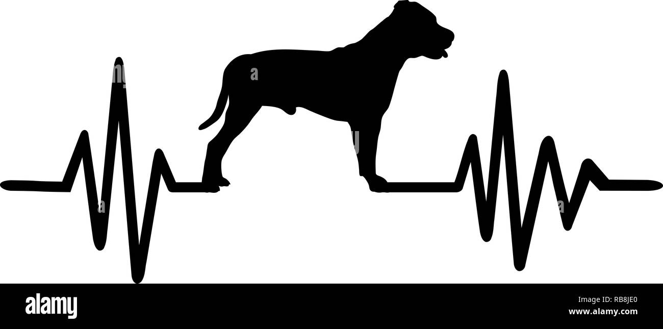 Staffordshire Bull Terrier Pulse Line mit Silhouette Stockfoto