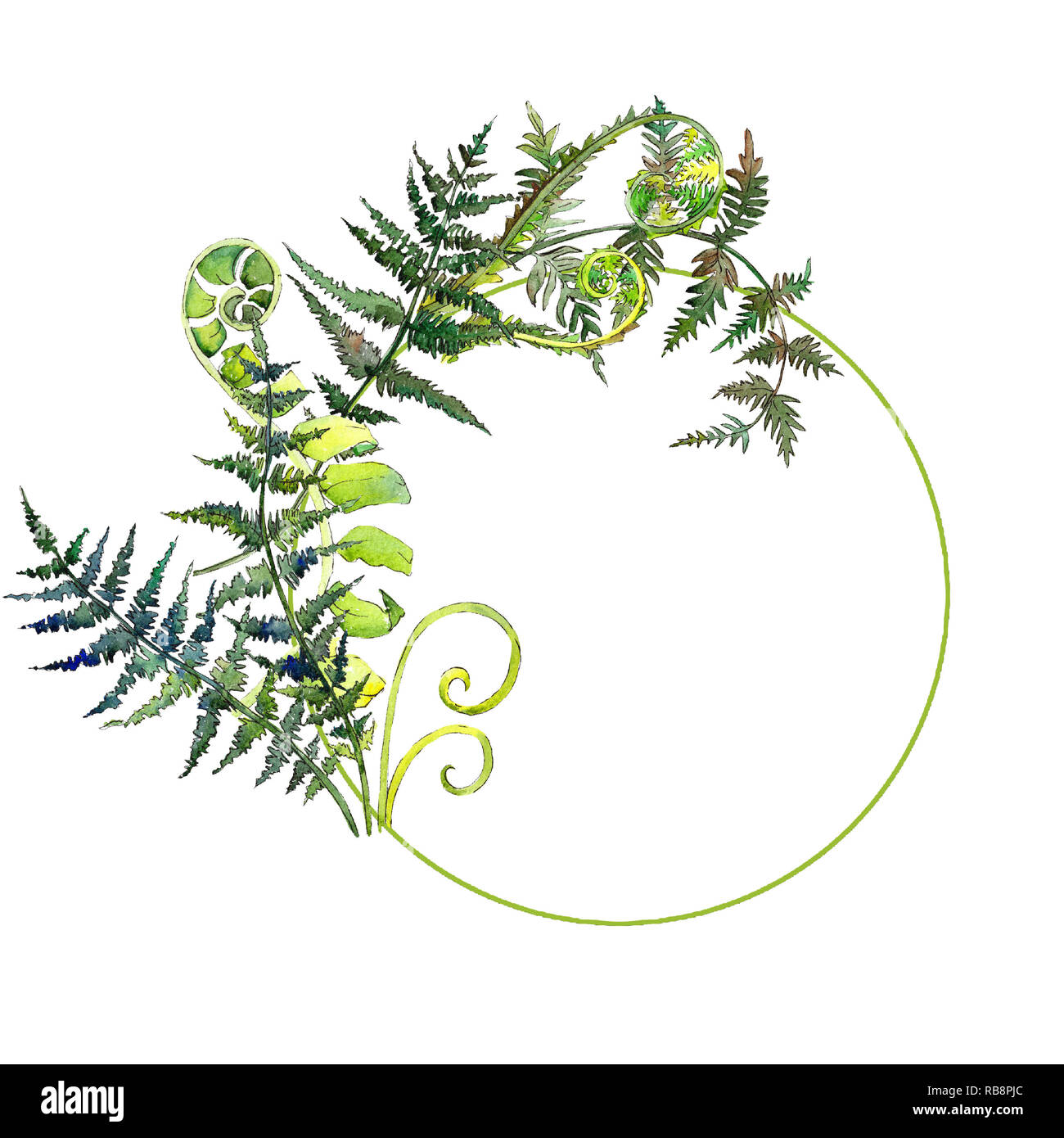 Farn grnes Blatt. Aquarell Hintergrund Abbildung. Rahmenlinie ornament  Quadrat Stockfotografie - Alamy