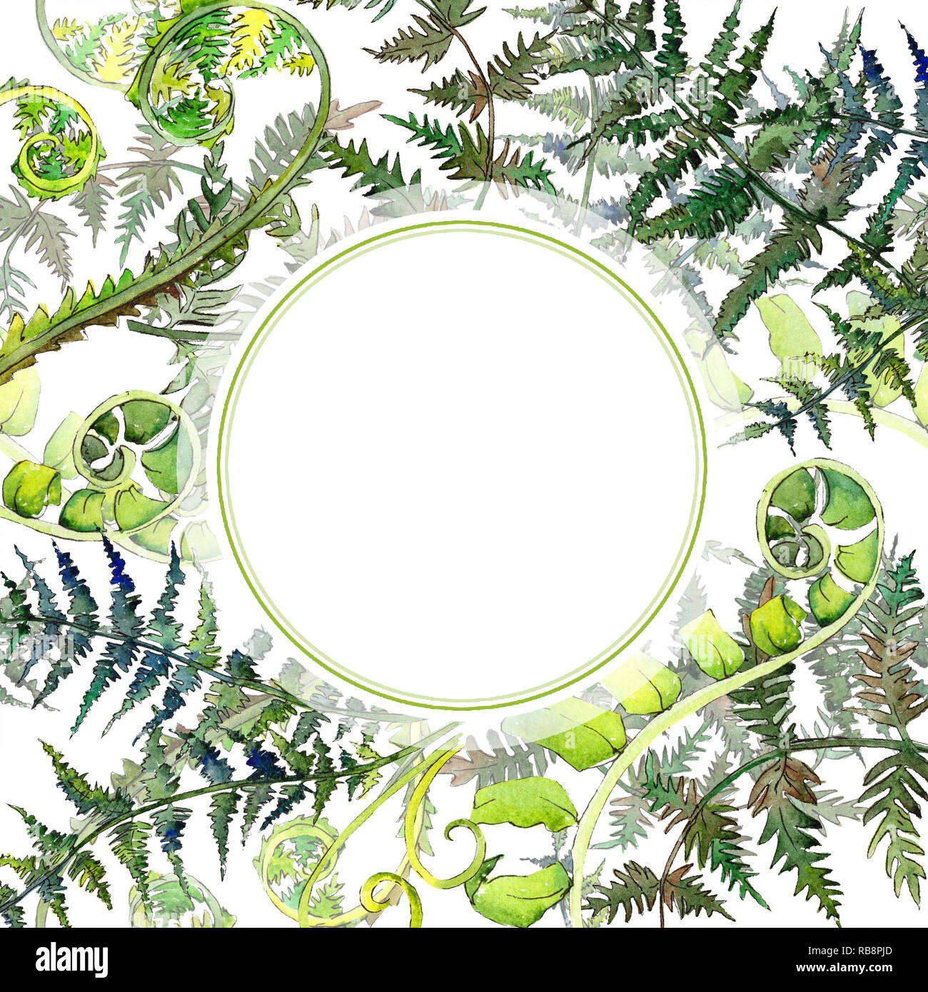 Farn grnes Blatt. Aquarell Hintergrund Abbildung. Rahmenlinie ornament  Quadrat Stockfotografie - Alamy
