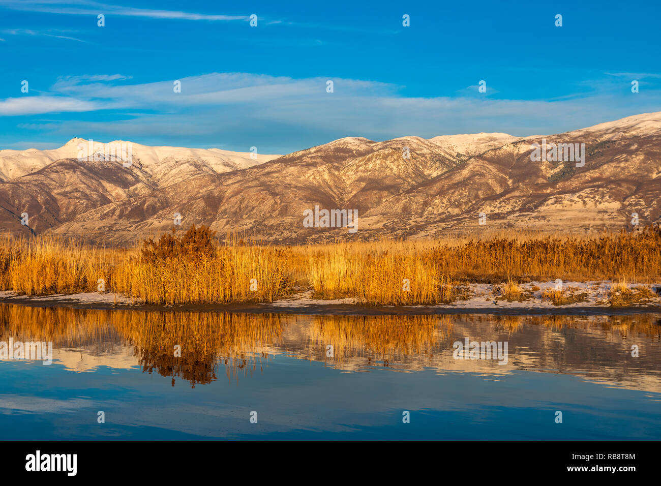Der Wasatch Berge spiegeln sich in den stillen Wassern von Farmington Bay im Farmington Bay Wasservögel Management Area, Farmington, Utah, USA. Stockfoto