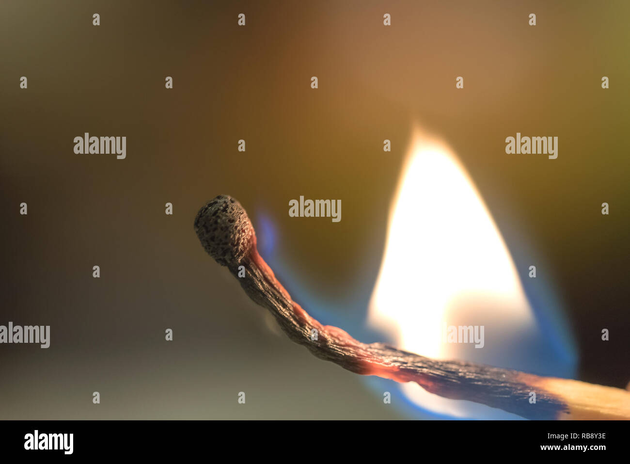 Das Feuer breitet sich über einen hölzernen match Nahaufnahme Stockfoto