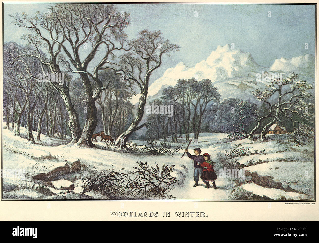 Wald im Winter Stockfoto