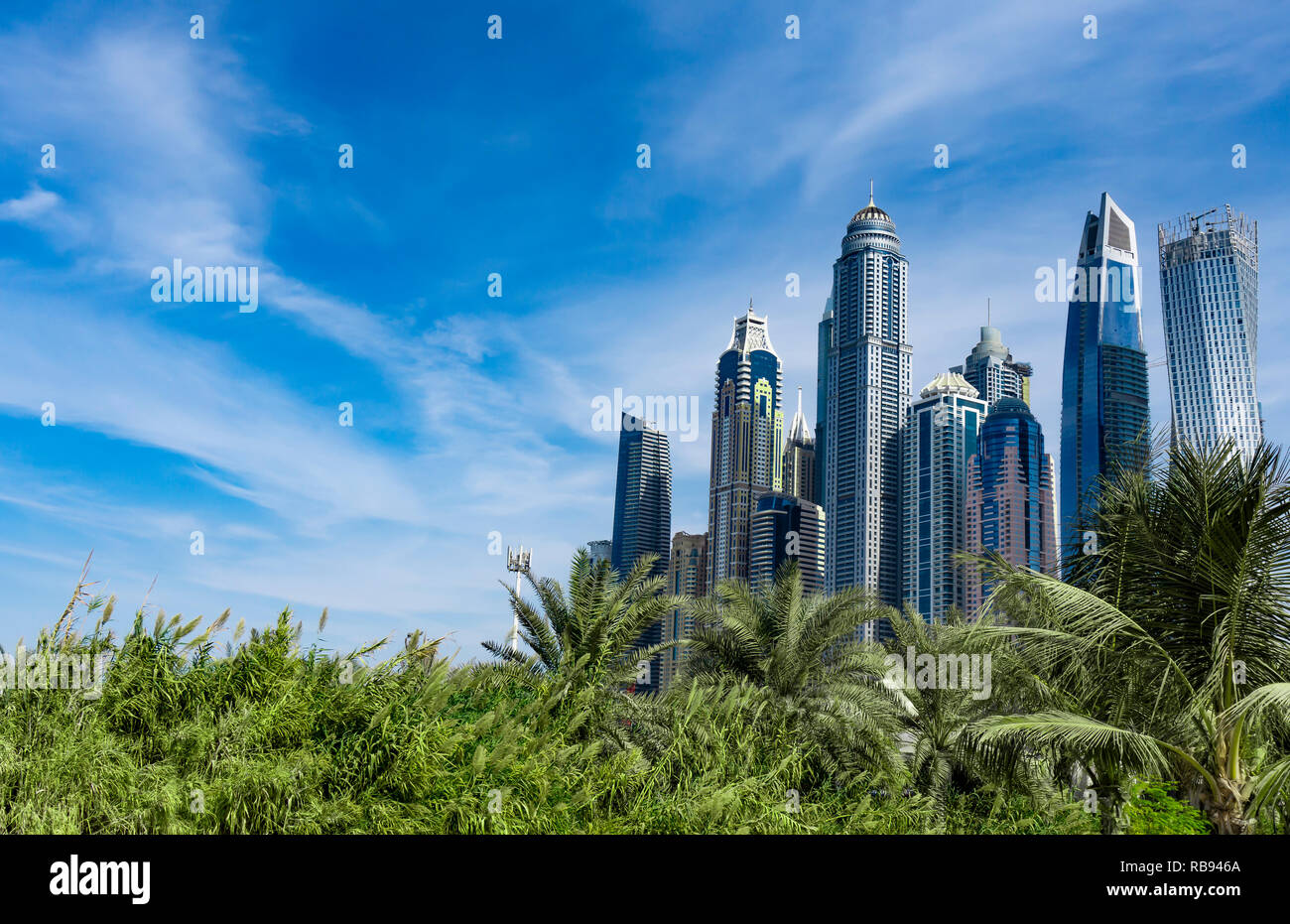 Dubai Wolkenkratzer Skyline mit Palmen, blauer Himmel und Platz für Text Stockfoto