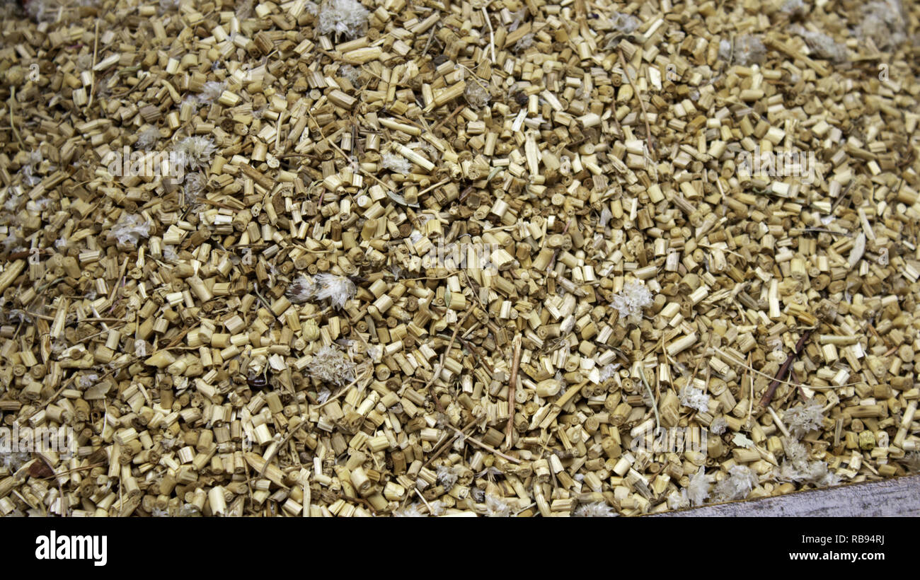 Heilpflanzen und Heilkräuter im Markt, Infusionen und Kamille Stockfoto