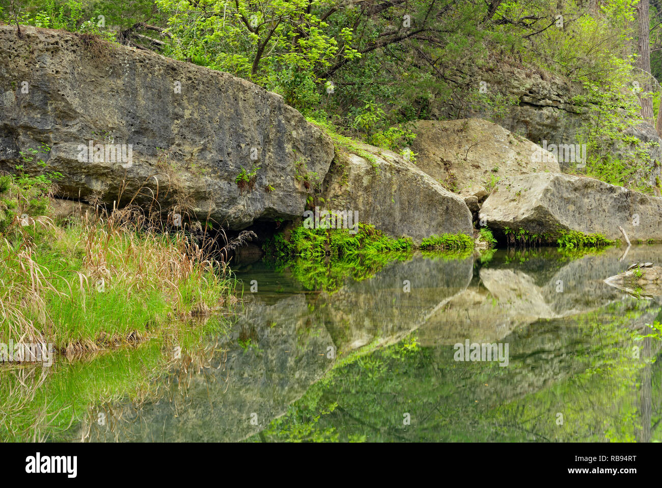 Reflexionen in Hamilton Creek, Hamilton Pool bewahren Travis County, Texas, USA Stockfoto