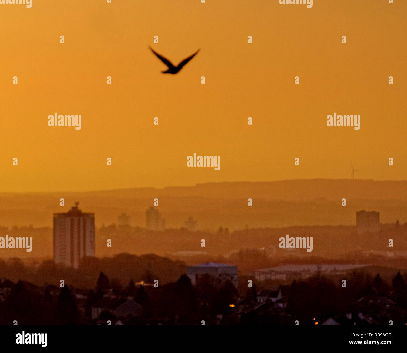 Glasgow, Schottland, Großbritannien, 8. Januar, 2019. UK Wetter: Sonnig sonnenaufgang Tag über den Süden der Stadt, wie es im warmen Licht leuchtet. Kredit Gerard Fähre / alamy Leben Nachrichten Stockfoto