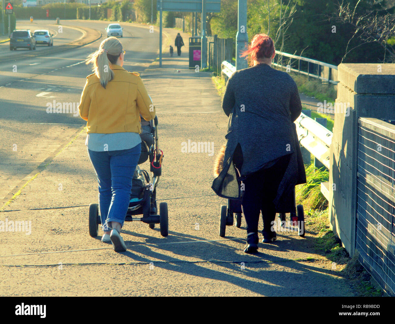 Glasgow, Schottland, Großbritannien. 8 Jan, 2019. UK Wetter: sonnigen Tag auf der Forth-and-Clyde-Kanal wie Es leuchtet in das warme Licht. Credit: Gerard Fähre / alamy Leben Nachrichten Stockfoto