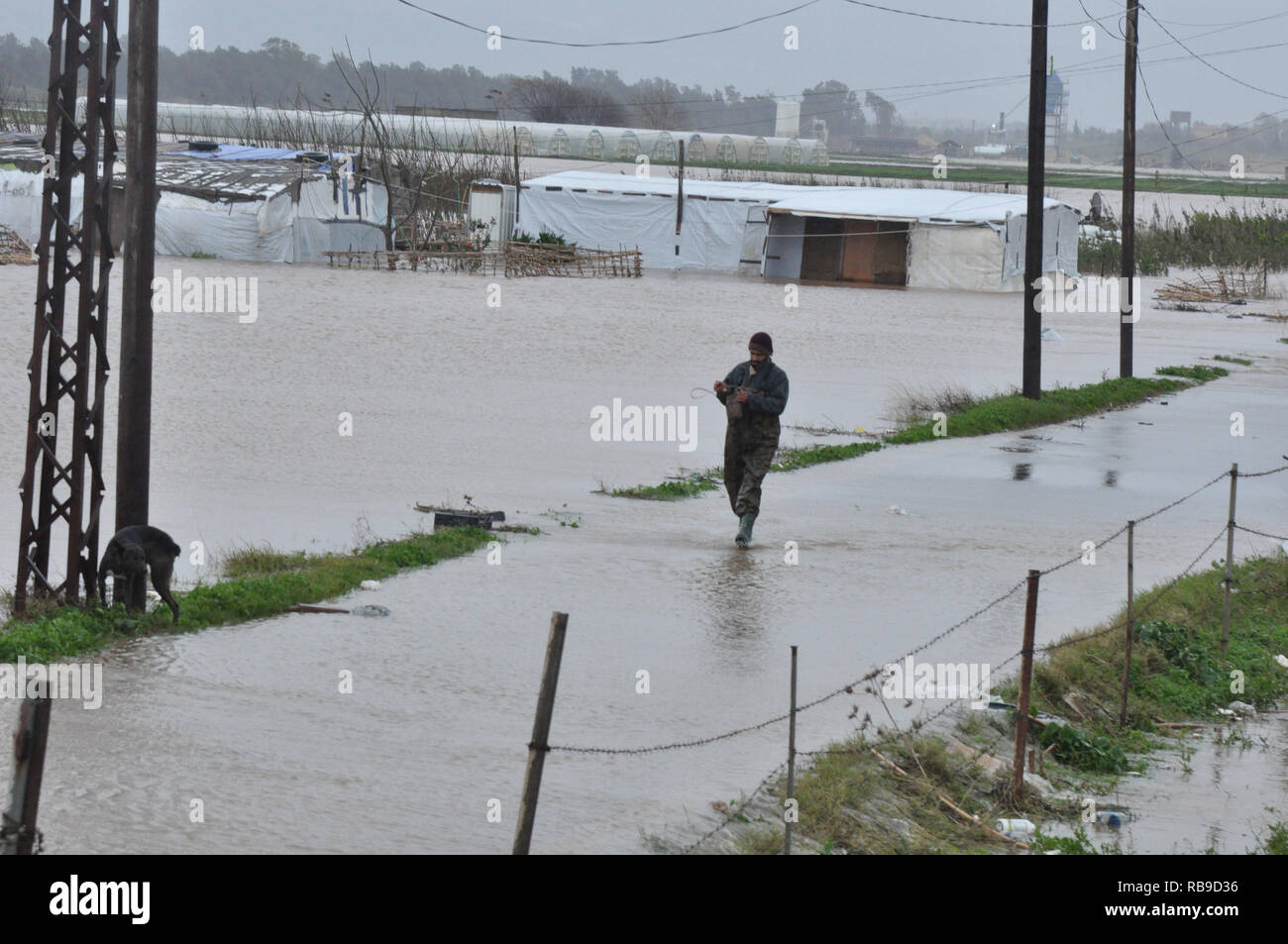 Beirut, Libanon. 8 Jan, 2019. Ein flüchtling Spaziergänge in Hochwasser in einem syrischen Flüchtlingslager am Stadtrand von Tripolis, Libanon, Jan. 8, 2019. Die syrische Flüchtlinge leben in Zelten im Libanon erlitten mehr als einen grossen Sturm, betitelt Norma, verursacht schwere Schäden in vielen Bereichen des Landes. Credit: Khalid/Xinhua/Alamy leben Nachrichten Stockfoto