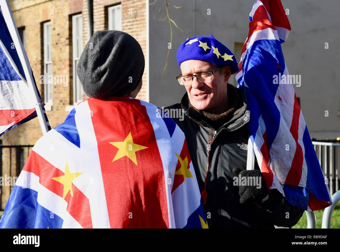 Westminster, London, Großbritannien. 8. Januar 2019. Pro bleiben Unterstützer gezeigt außerhalb der Häuser, Westminster, London.UK Credit: michael Melia/Alamy leben Nachrichten Stockfoto