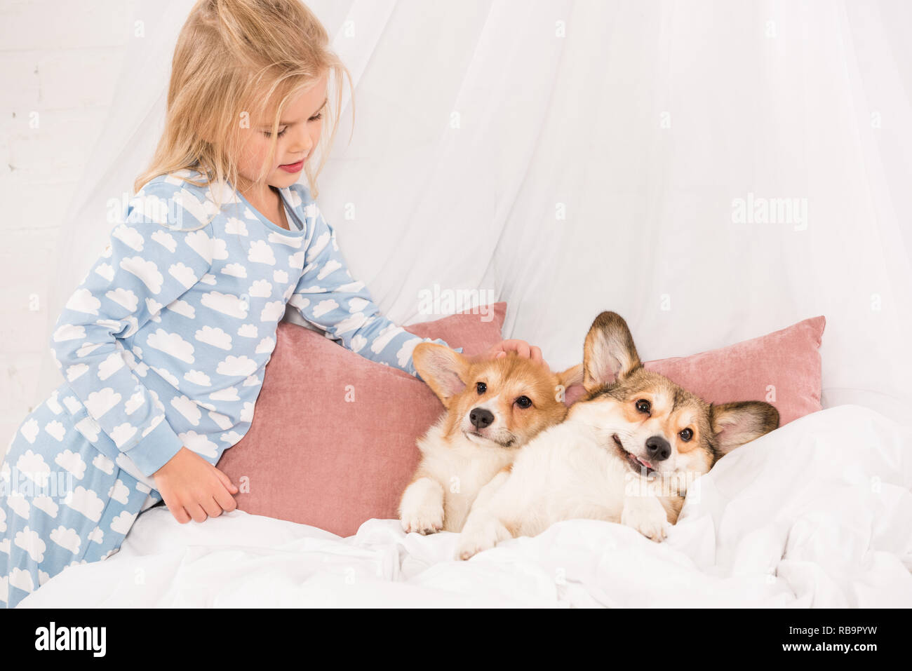 Kinderfreundliche Hunde Stockfotos &amp; Kinderfreundliche Hunde Bilder Alamy