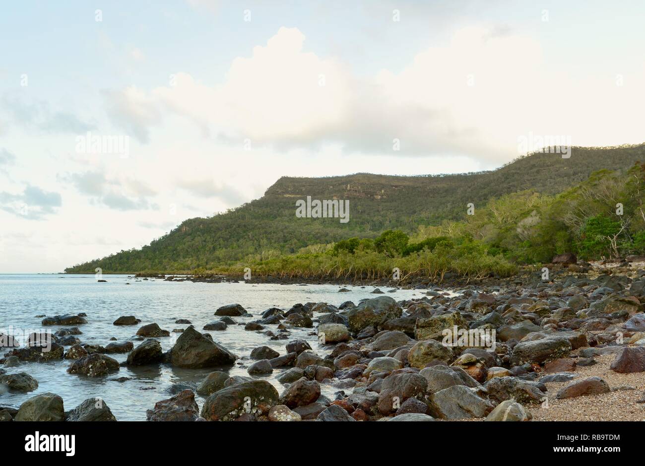 Cape Hillsborough von Smalleys Strand Campingplatz gesehen, Cape Hillsborough National Park, Queensland, Australien Stockfoto