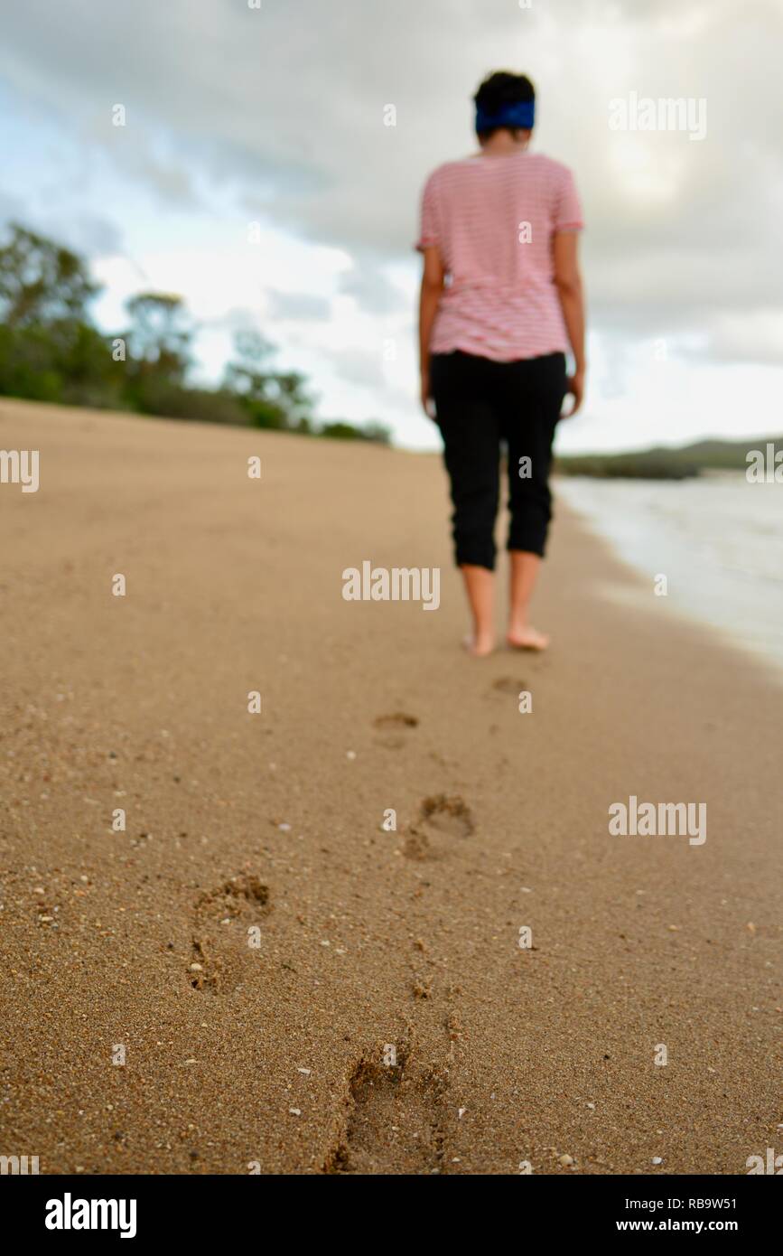 Smalleys Strand Zeltplatz, Cape Hillsborough National Park, Queensland, Australien Stockfoto