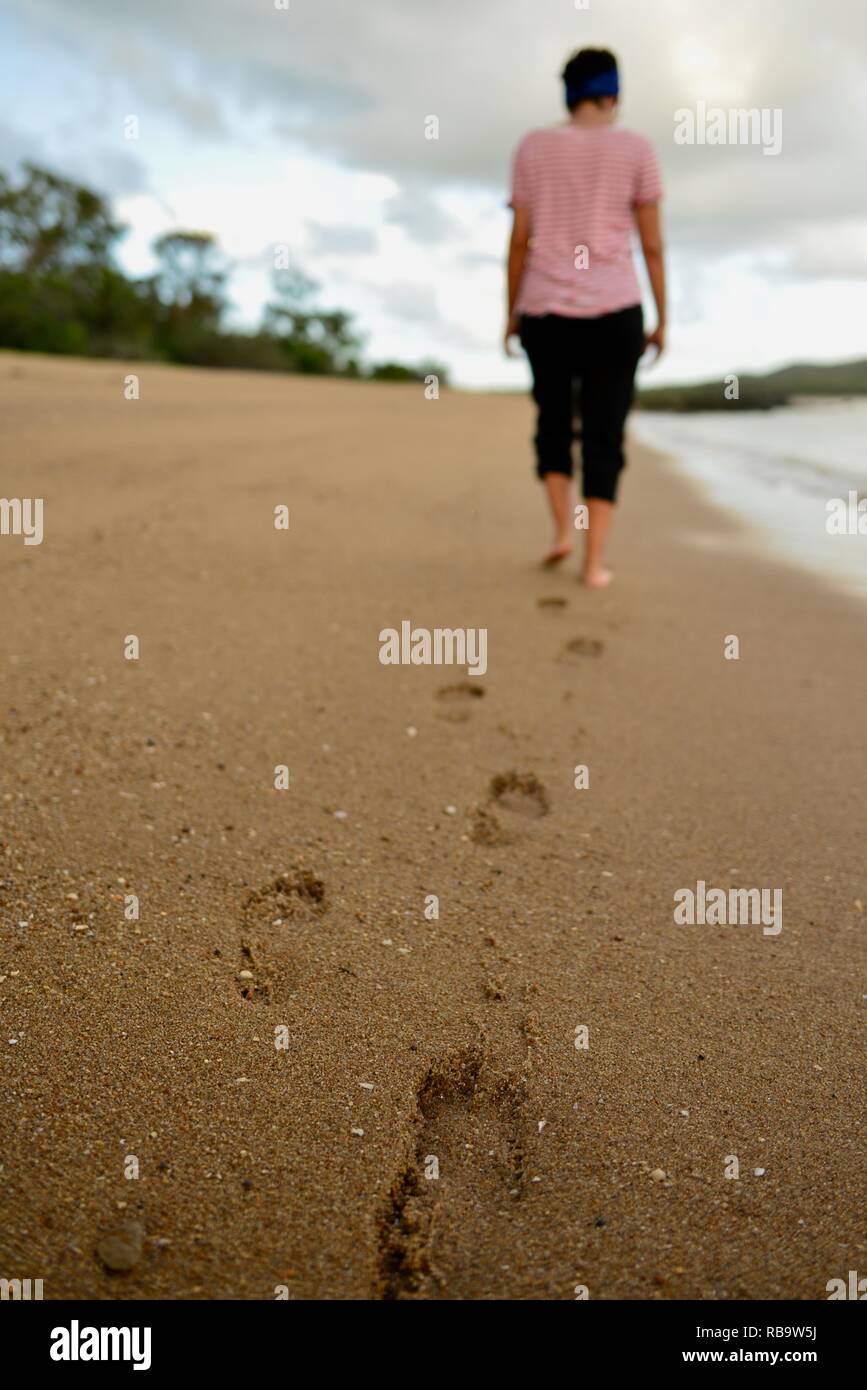 Smalleys Strand Zeltplatz, Cape Hillsborough National Park, Queensland, Australien Stockfoto