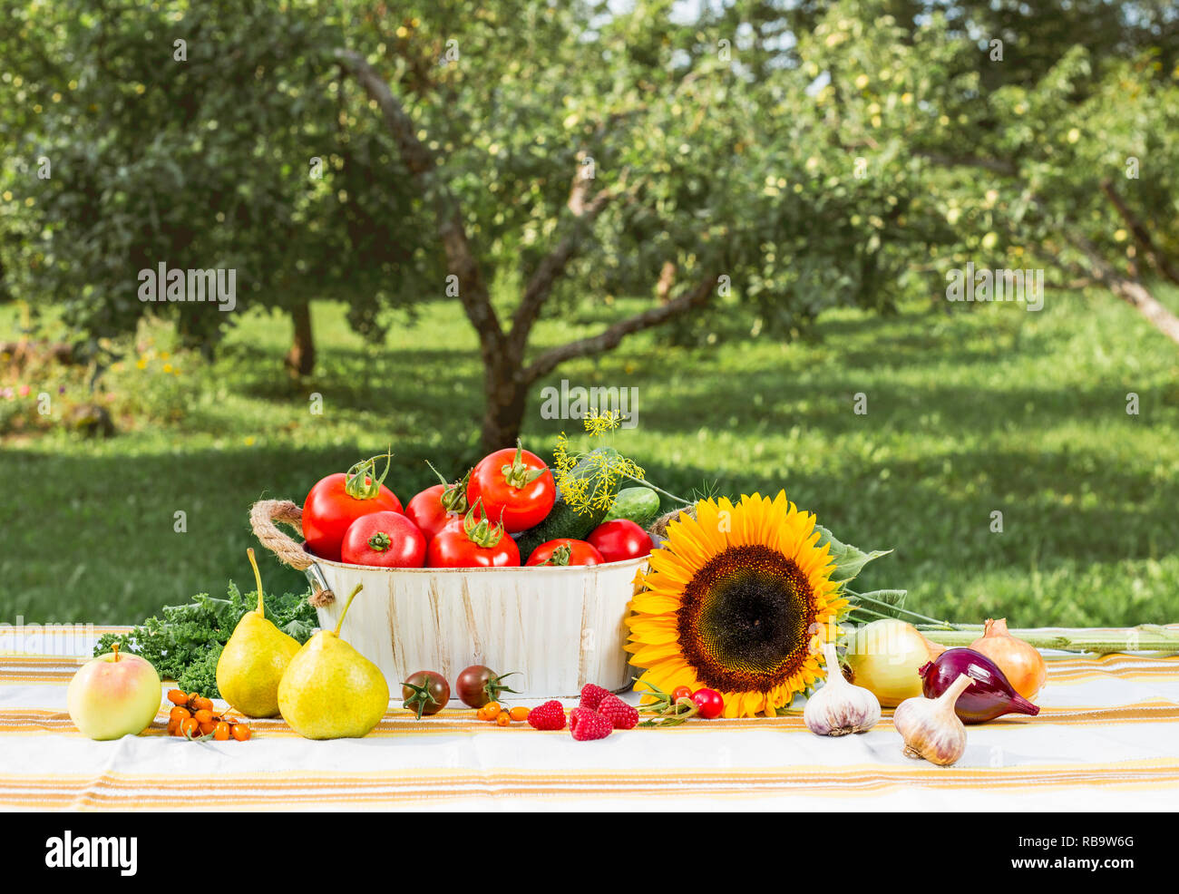 Verschiedene reife Gemüse der Saison in der Zusammensetzung auf weiße Tischtuch gedeckten Tisch draußen im Garten. Metallkorb gefüllt mit Tomaten, unscharf Stockfoto