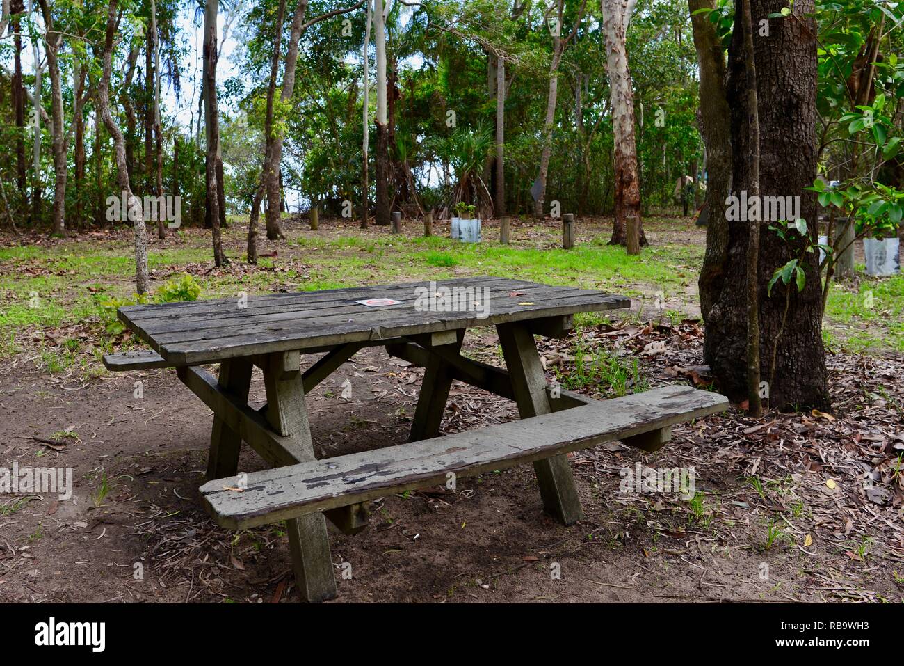 Szenen aus dem Smalleys Strand Zeltplatz, Cape Hillsborough National Park, Queensland, Australien Stockfoto