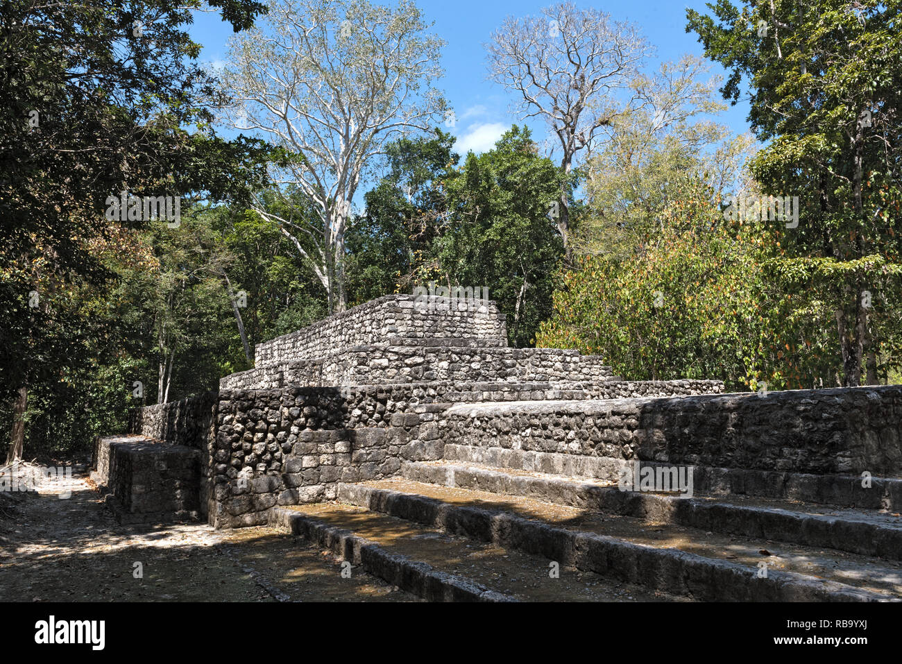 Die Ruinen der antiken Stadt calakmul, Campeche, Mexiko Stockfoto