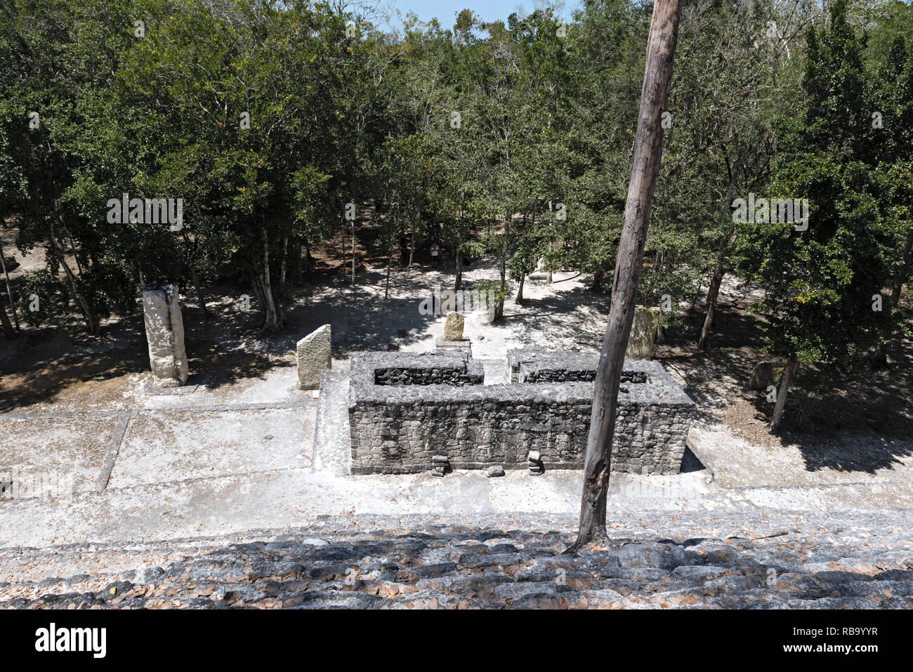 Die Ruinen der antiken Stadt calakmul, Campeche, Mexiko Stockfoto