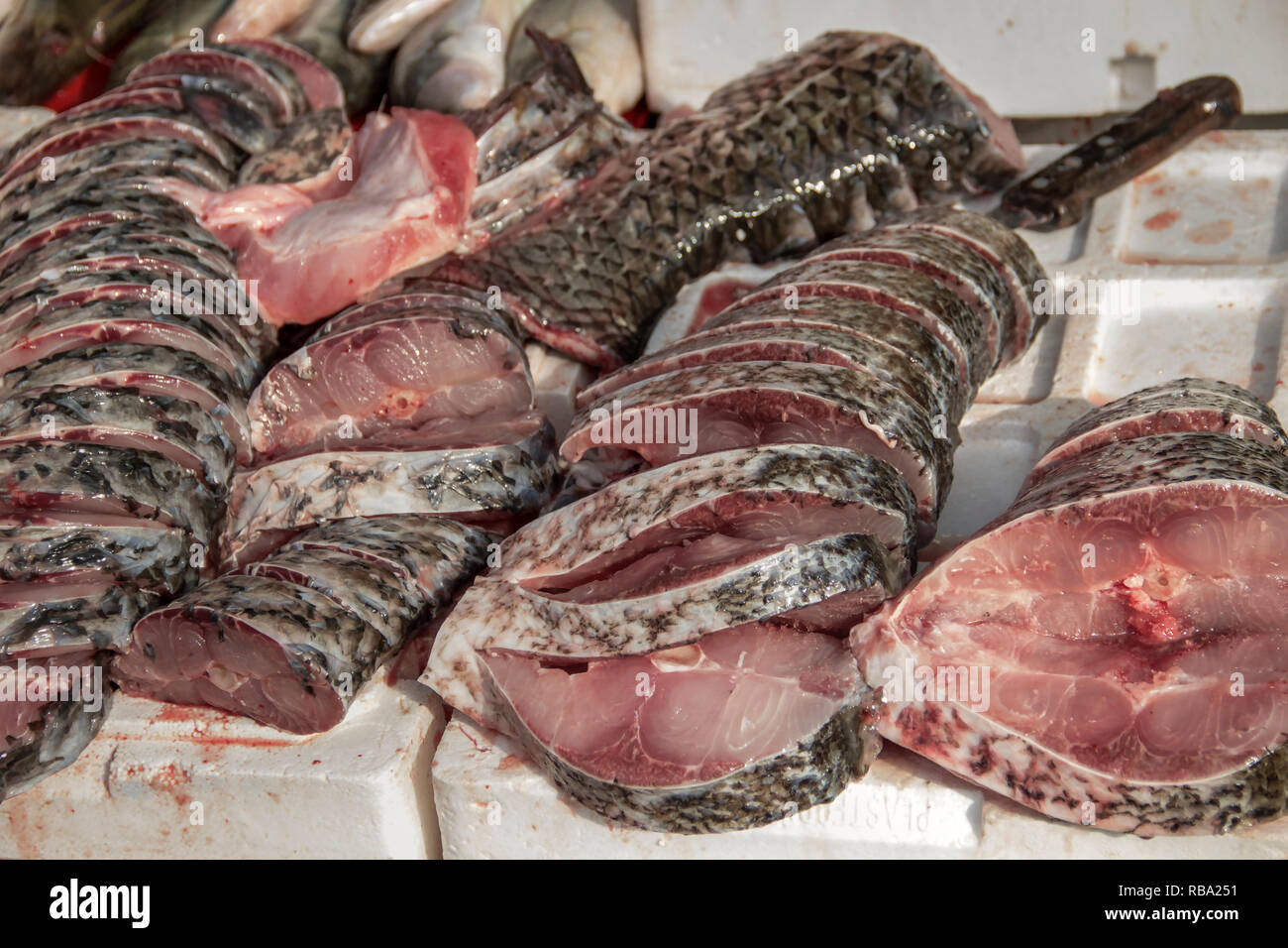 Belgrad, Serbien - Süßwasser Fische gefangen in der Donau für Verkauf an den Zemun Fischmarkt präsentiert Stockfoto