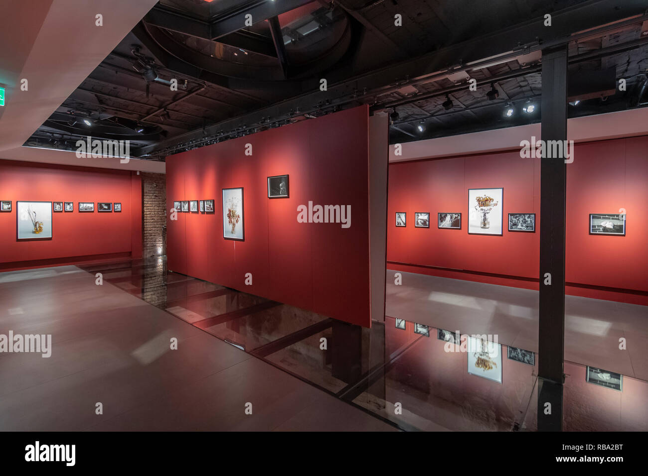 Innenraum der Leica Galerie Istanbul (innerhalb der historischen Brauerei in Bomonti), Türkei Stockfoto