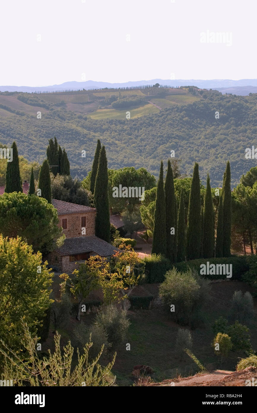 Blick über die toskanische Landschaft von der Viale della Libertà, Montalcino, Toskana, Italien Stockfoto