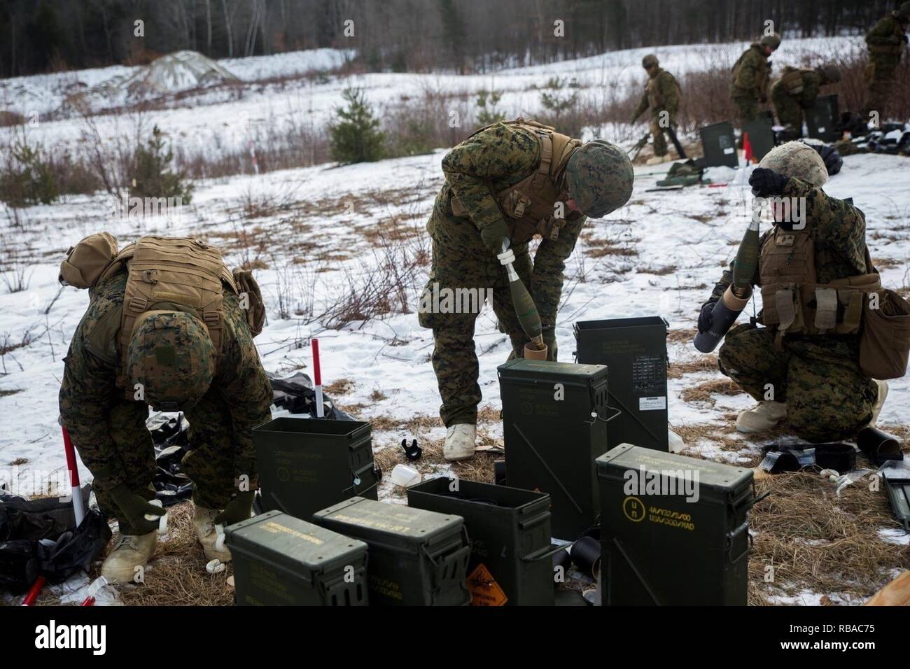 Marines mit Waffen Firma, 3.Bataillon, 25 Marine Regiment, 4 Marine Division, bereiten Sie 81 mm Mörser Umläufe für die Zündung während der Übung Nordic Frost im Camp Ethan Allen Training Website in Jericho, Vt, 7. 2017. Während der gesamten Übung, Marines Durchführen der Schulung in einem anspruchsvollen kaltem Wetter Umgebung, legt ein Augenmerk auf kleine Einheit Führung. Stockfoto