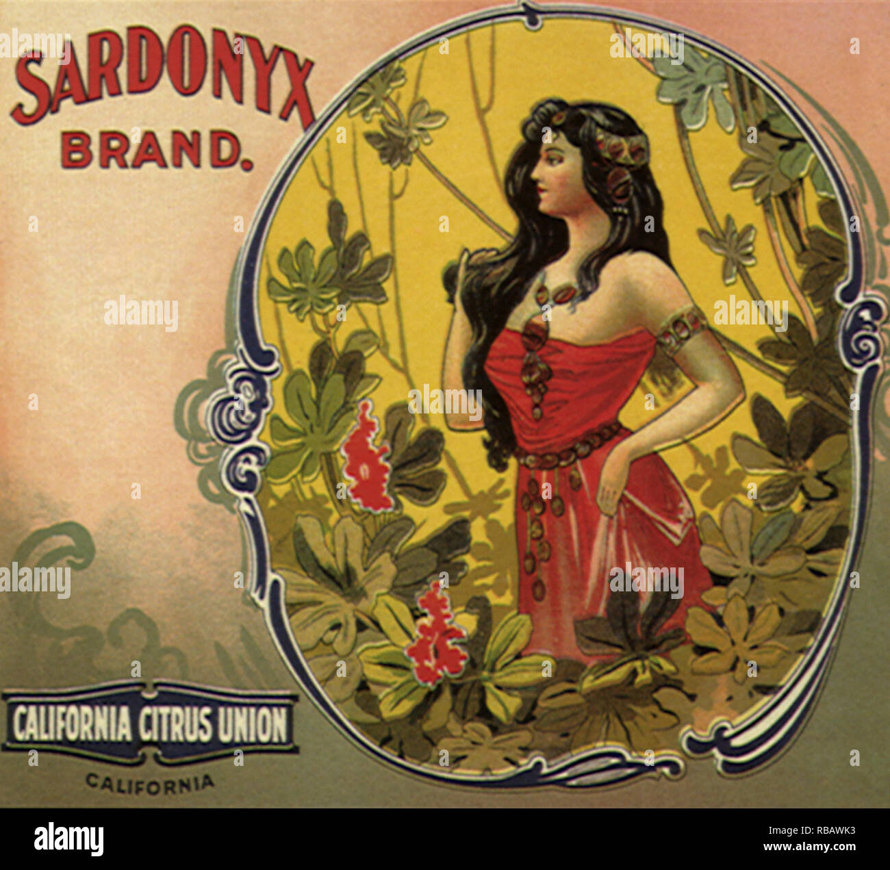 Frau inmitten von Reben. Stockfoto