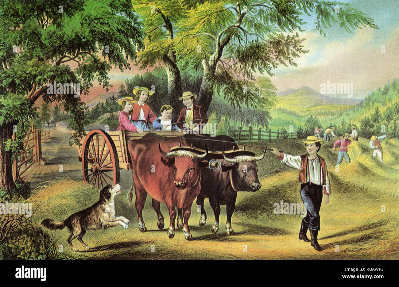 Rinder, Warenkorb und Familie. Stockfoto