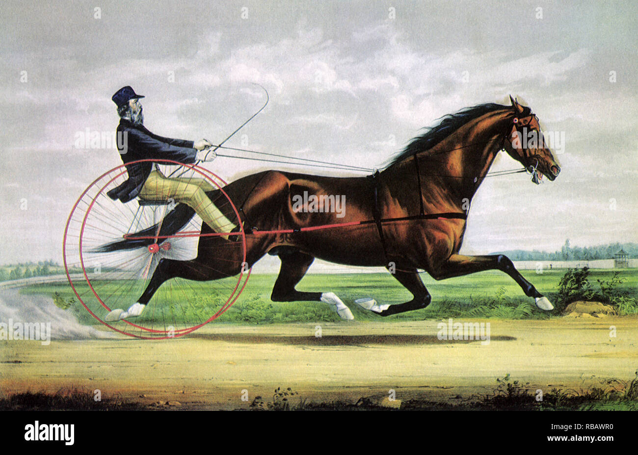 Racing Pferd und Fahrer. Stockfoto