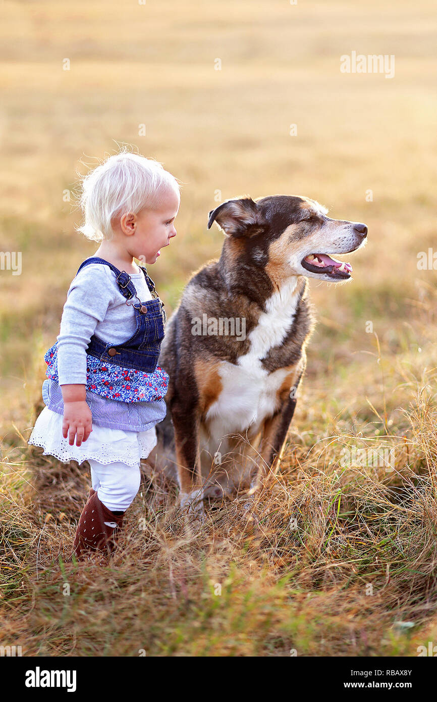 Eine süße kleine blonde Kleinkind Mädchen spricht mit ihrer angenommenen pet Deutscher Schäferhund mix Rasse Hund als Sie draußen auf einem Rückgang Abend stehen. Stockfoto